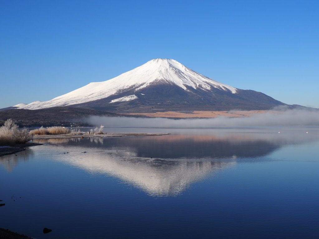 2/28 �_�C�Ƌt���x�m