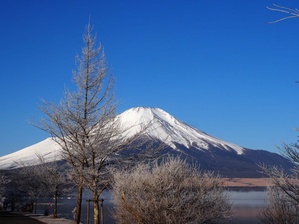 2/28 ���X�ƕx�m�R(3)