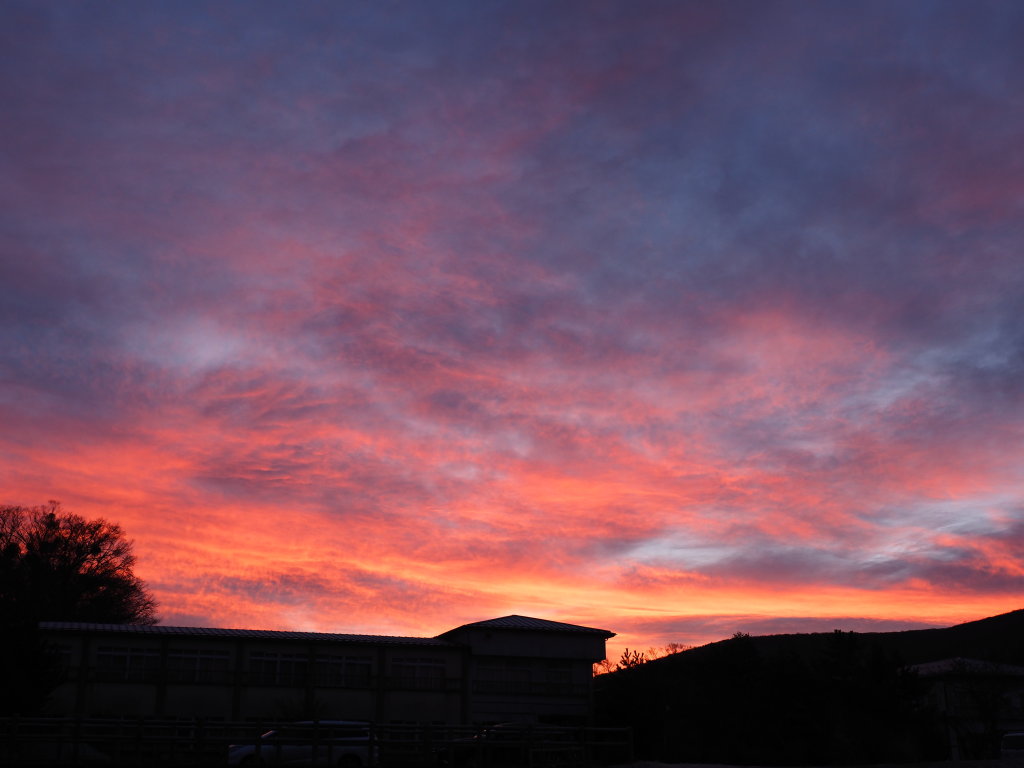 3/1 ���Ă��̓��̋�