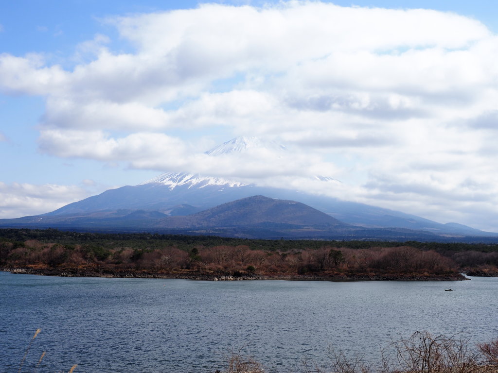 3/3 ���i�΂���