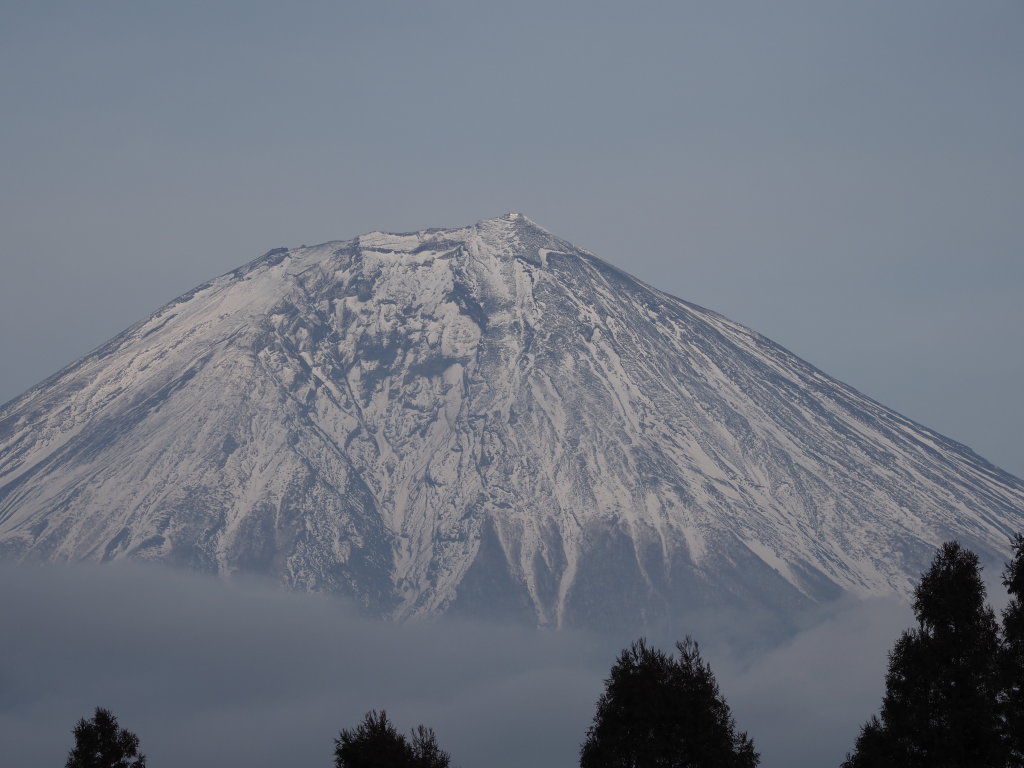 3/4 �c�ь΂���̃A�b�v