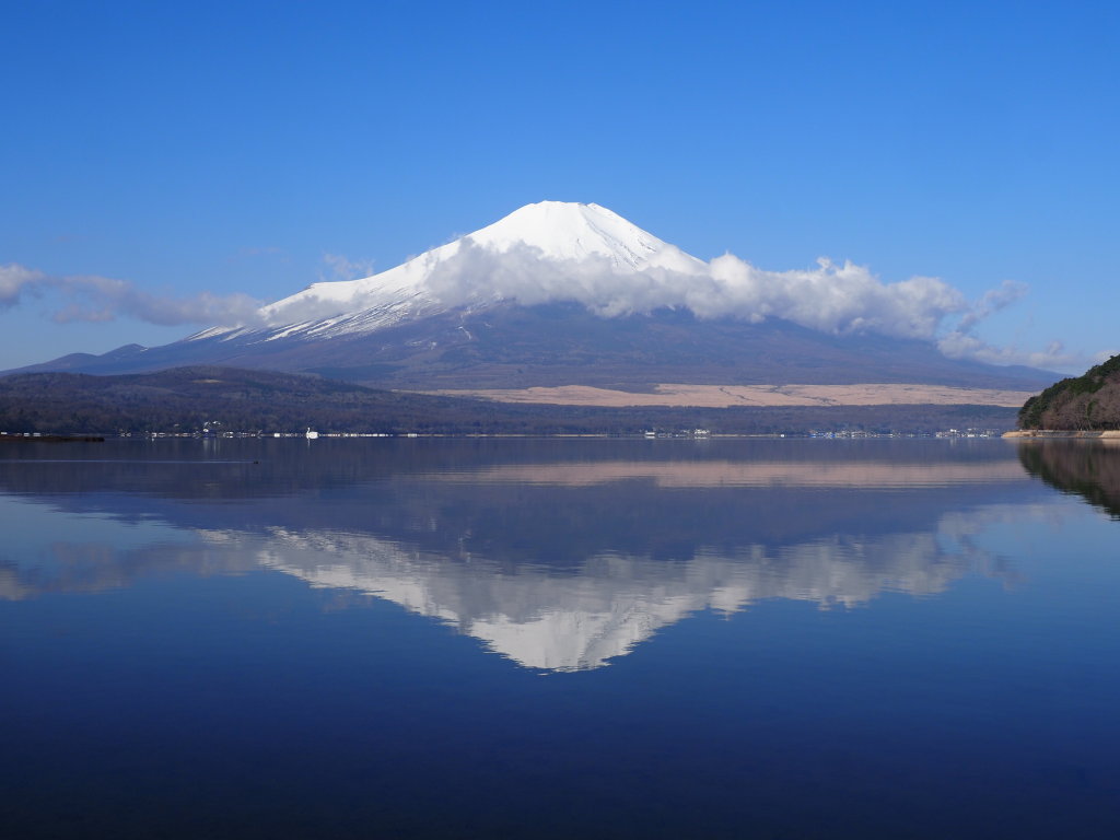 3/29 �t���x�m