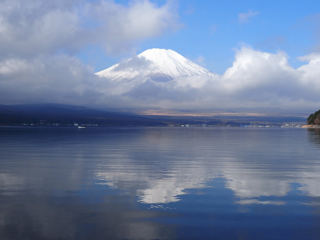 3/30 �ܐ؂�n�߂�