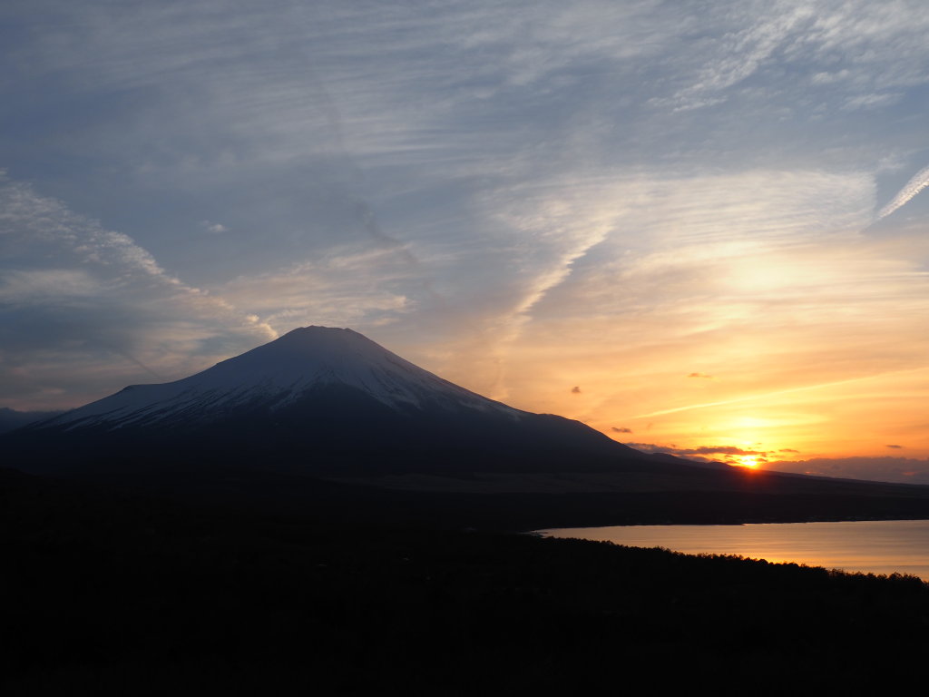 3/30 ���̓���