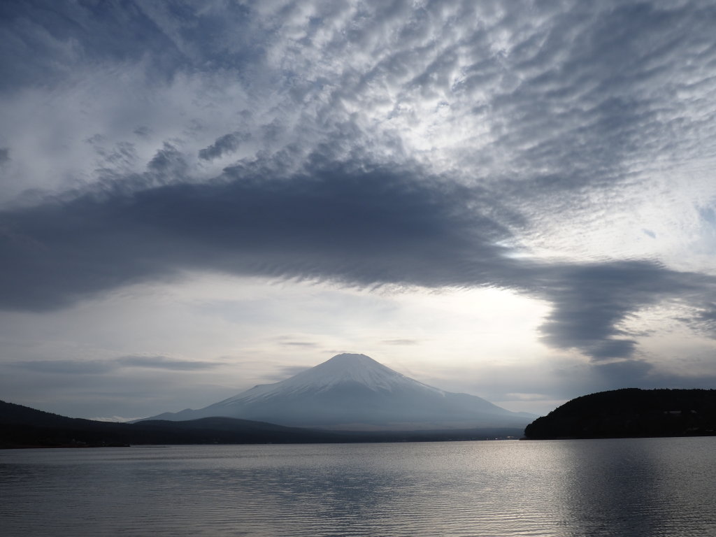 4/5 �_�ƕx�m�R