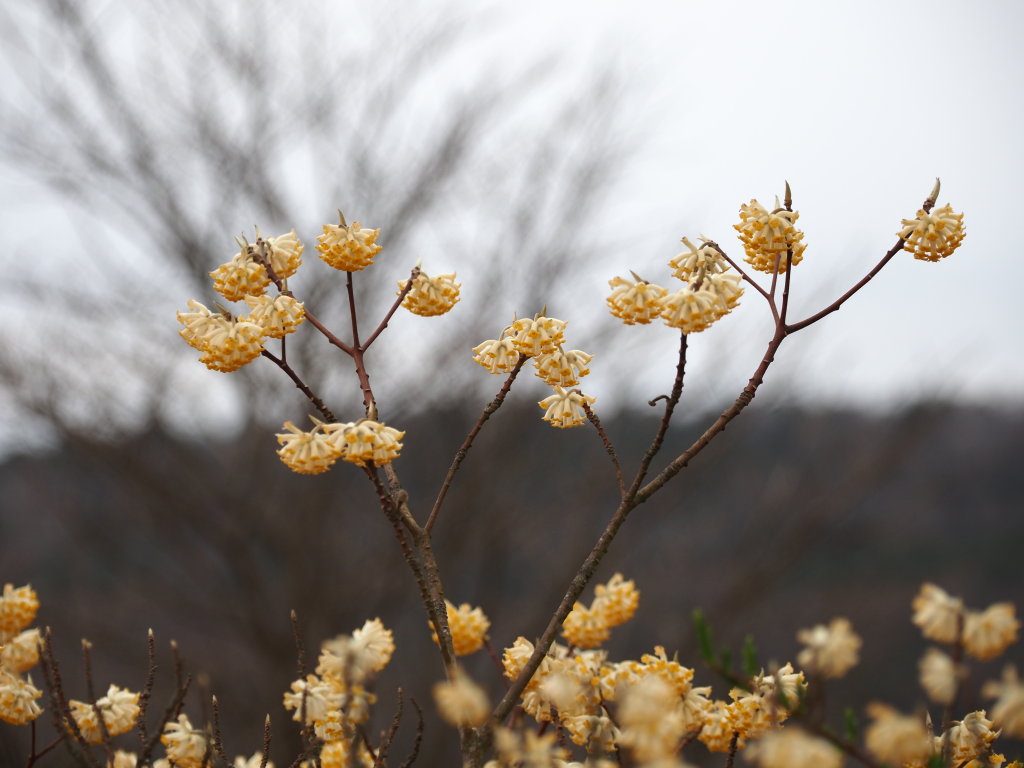 4/6 �~�c�}�^���J