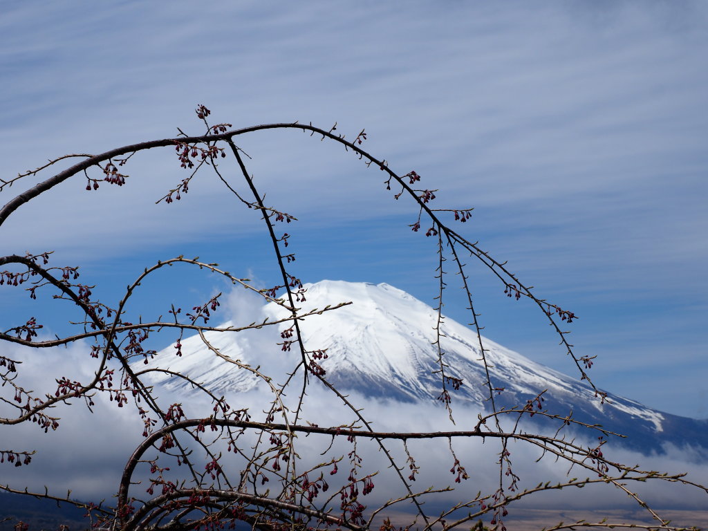 4/8 ���ƕx�m�R(3)