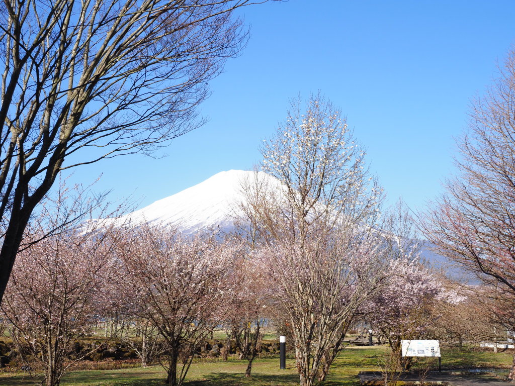 4/9 ���ƕx�m�R(4)