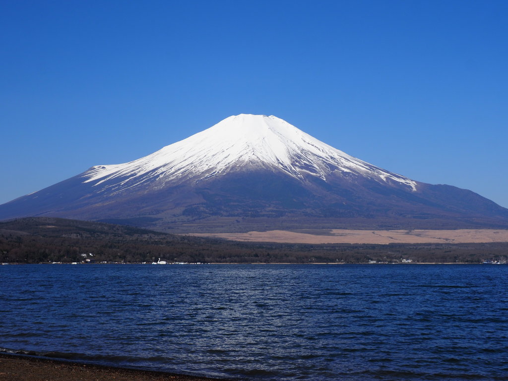 4/9 ��x�삩��̕x�m�R