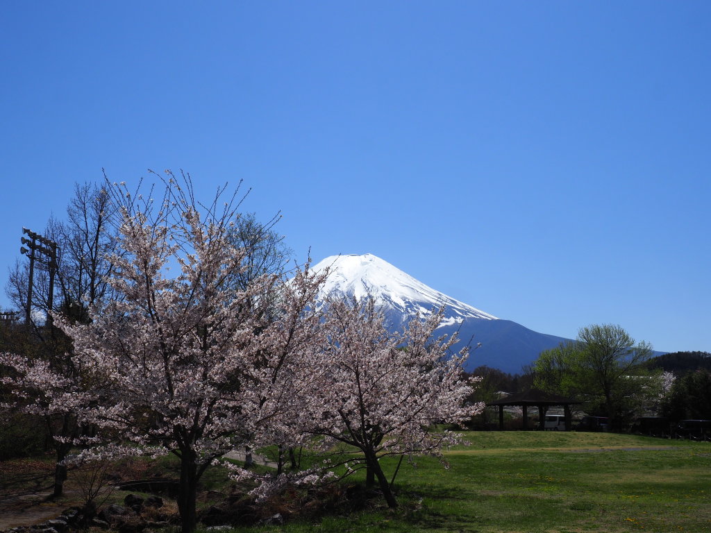 4/9 �x�m�����J(2)