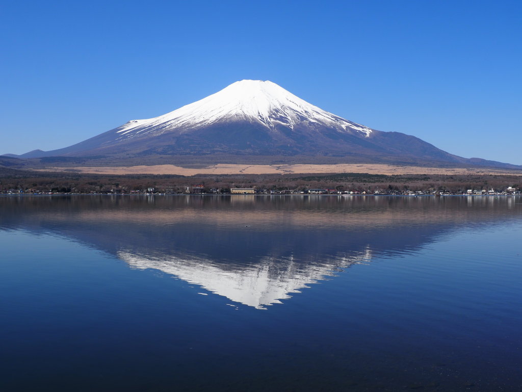 4/10 ���r����̕x�m�R