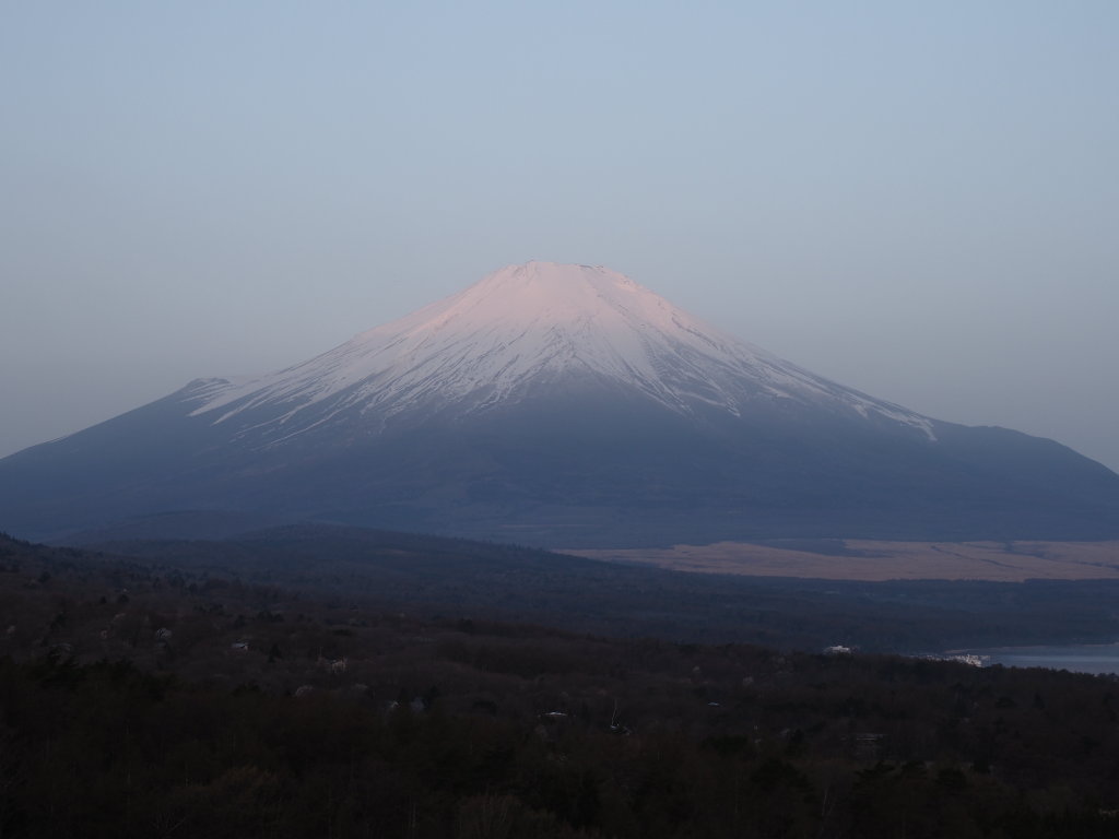 4/11 �����ڂ炯