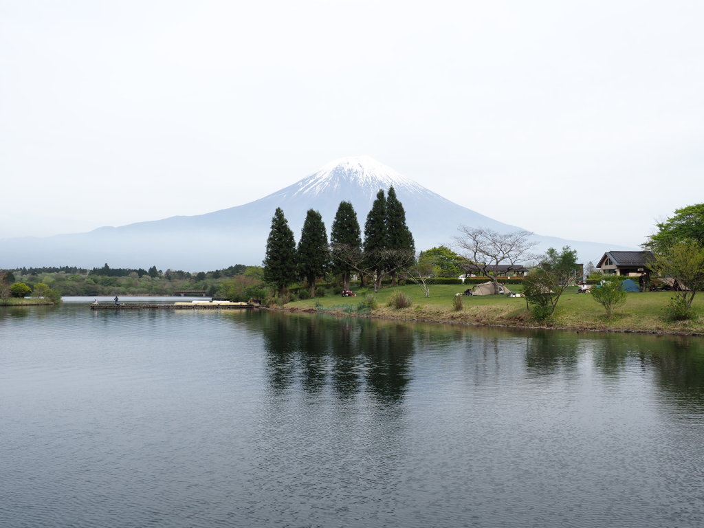 4/19 �c�ь΂̕x�m�R