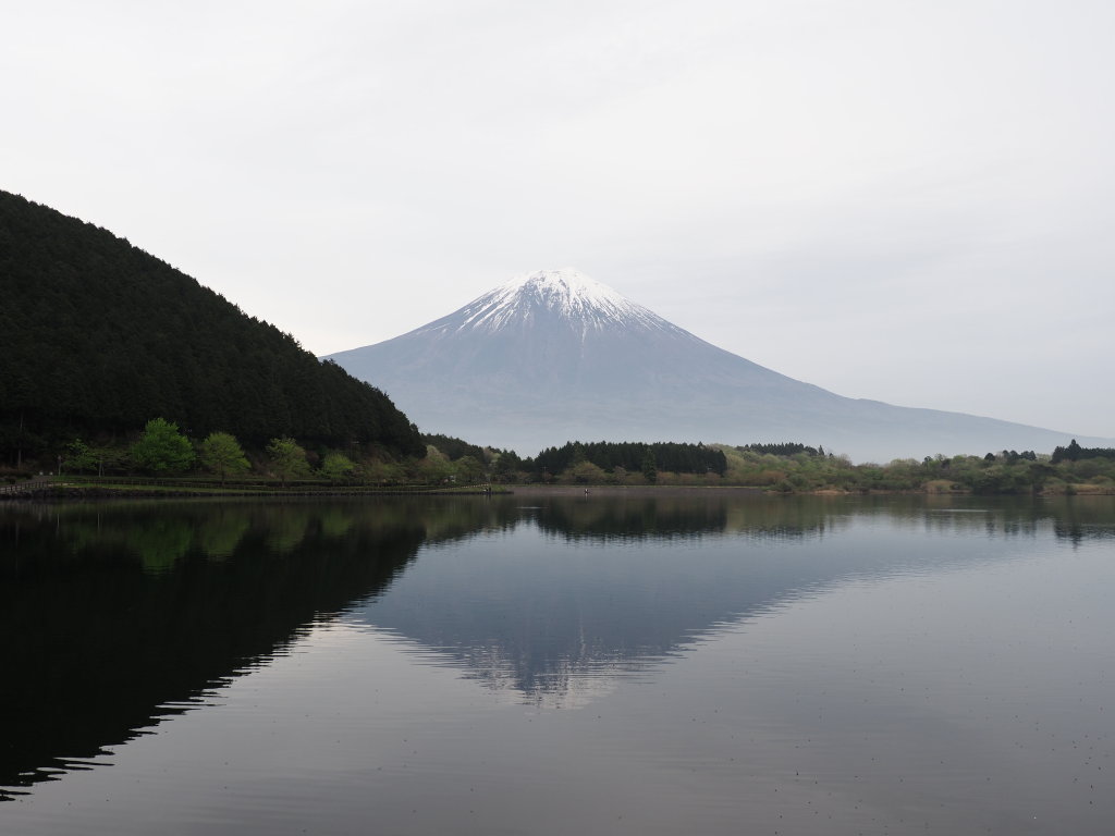 4/19 �[�Ă��̋t���x�m