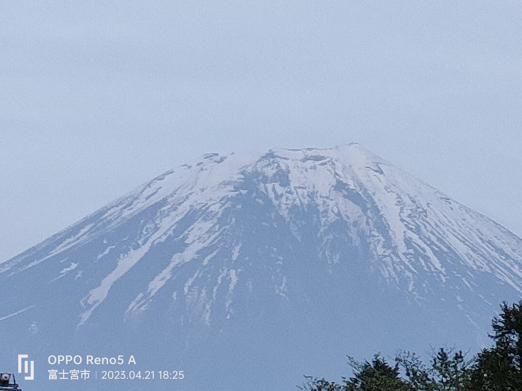 4/21 ���V����������̕x�m�R