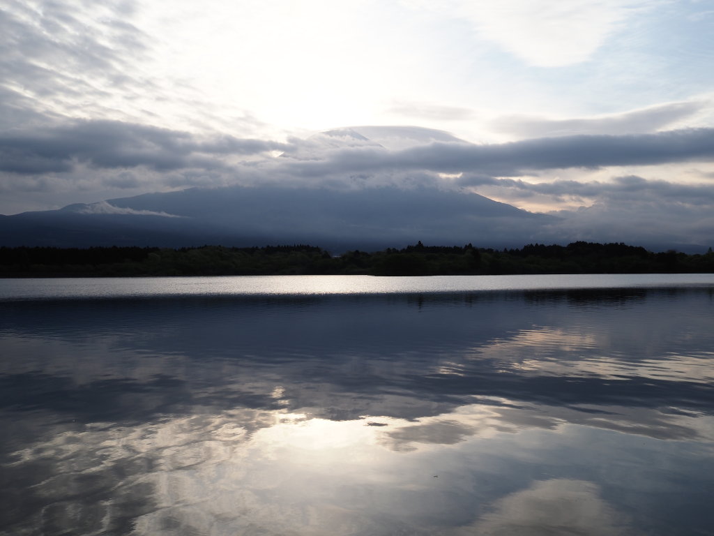 4/24 �����n�߂�