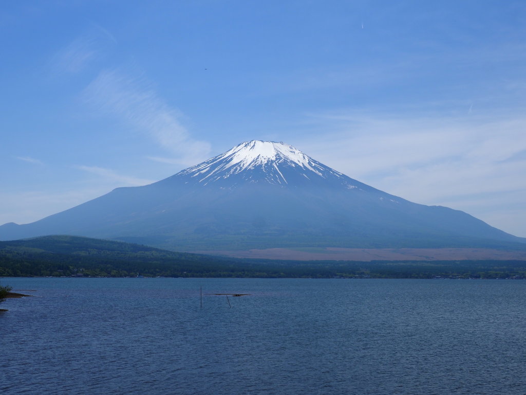 5/9 �L��������