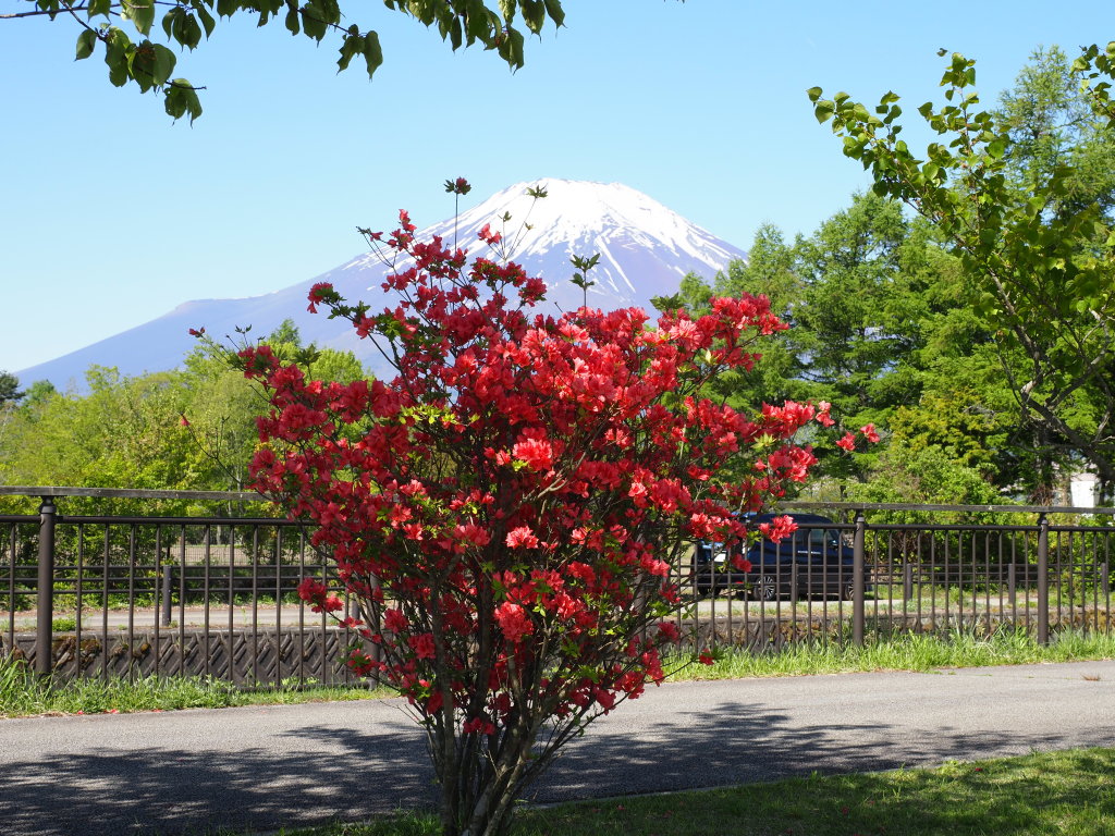 5/10 �c�c�W�ƕx�m�R