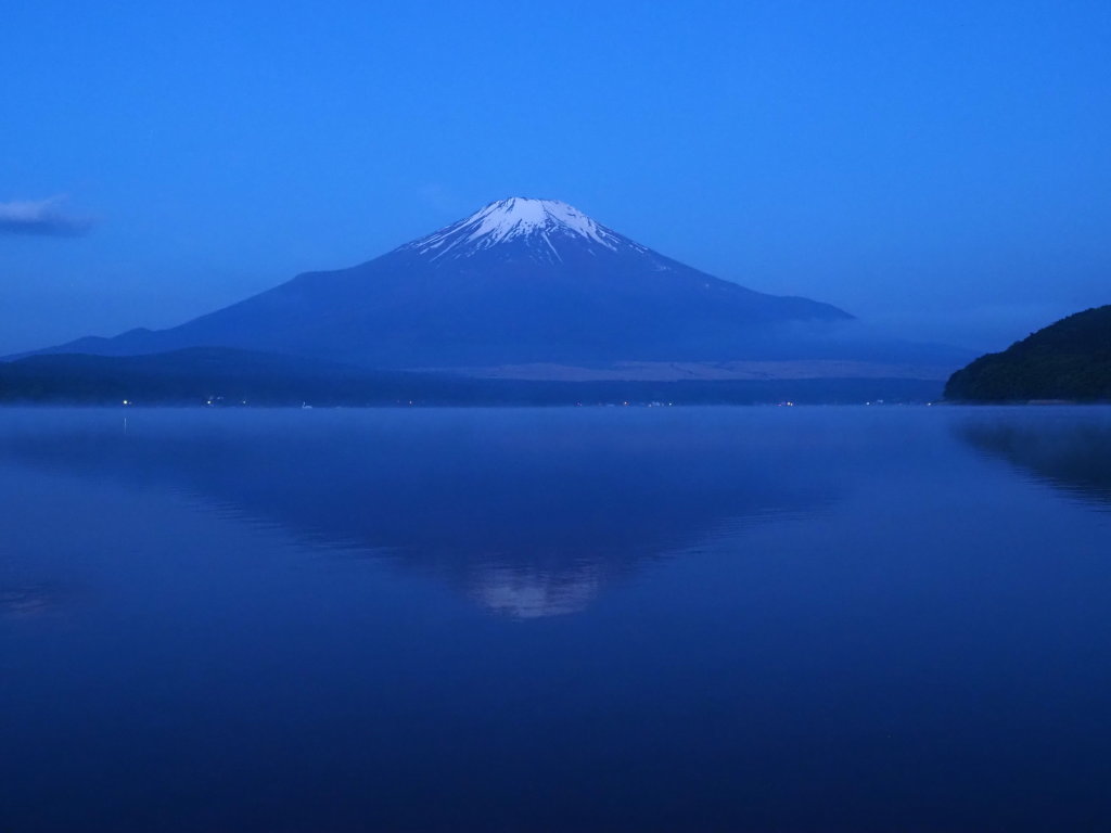 5/11 �t���x�m