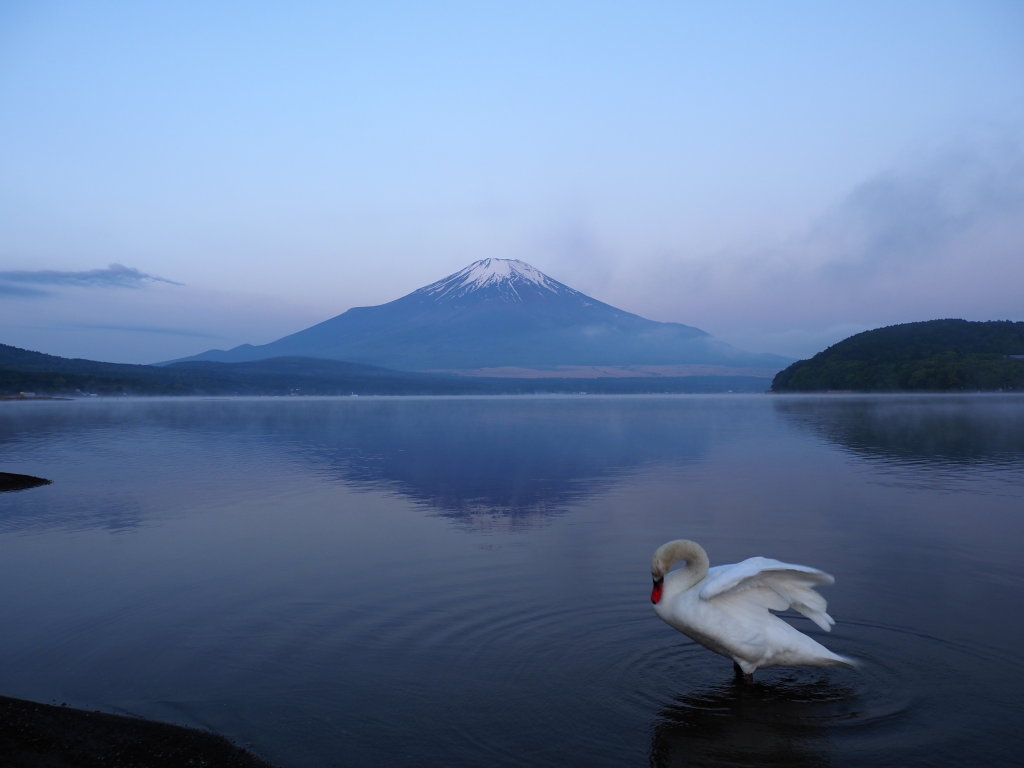 5/11 �����Ƌt���x�m