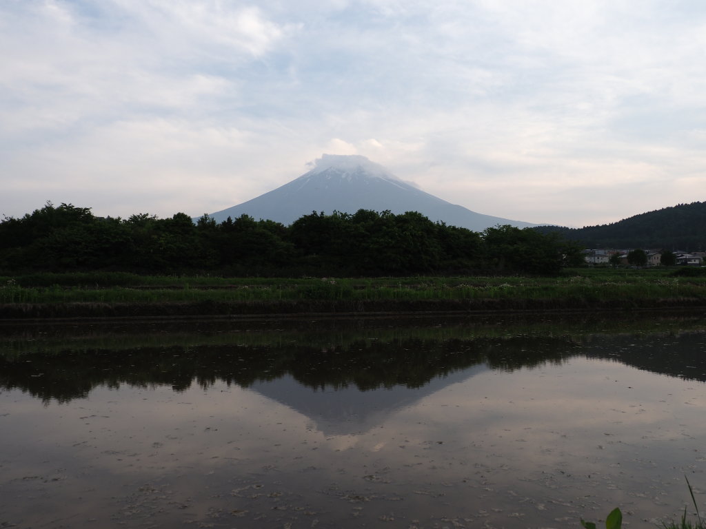 5/22 �c��ڂ̋t���x�m