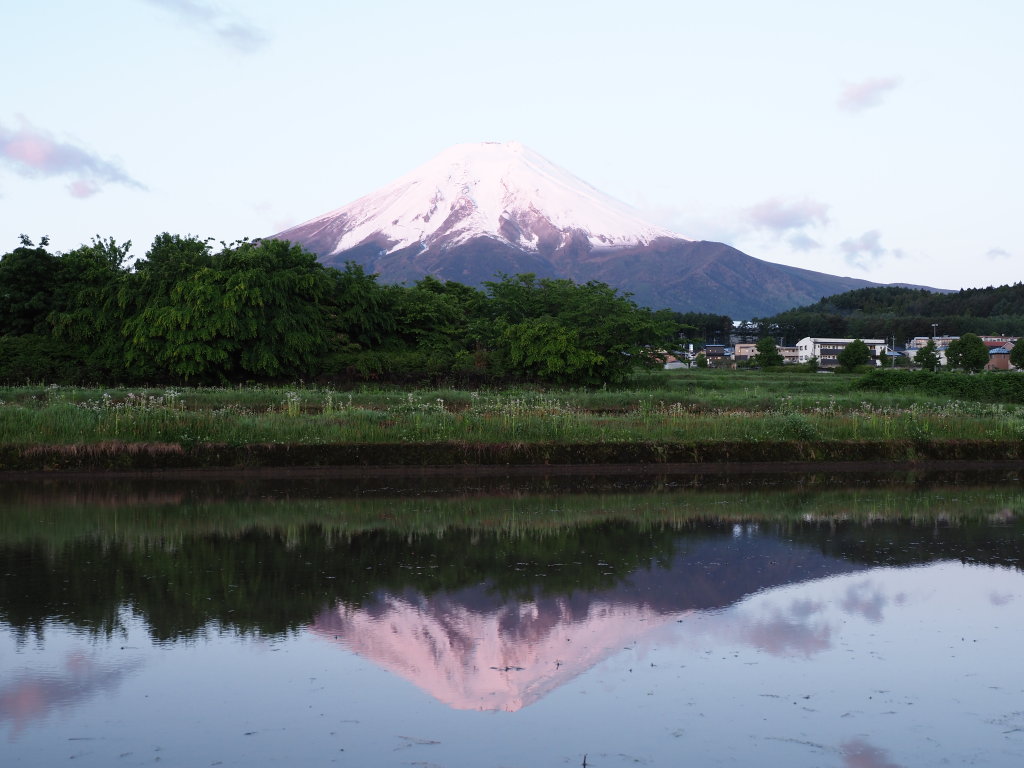 5/24 ���Ă��̋t���x�m