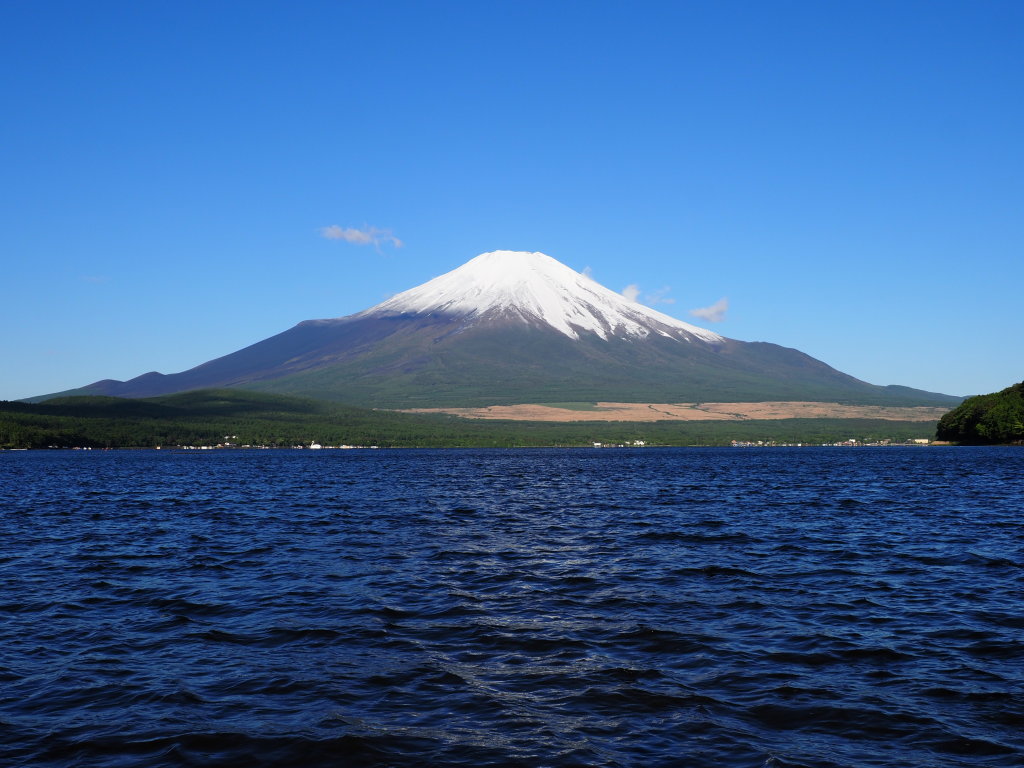 5/24 ���삩��̕x�m�R