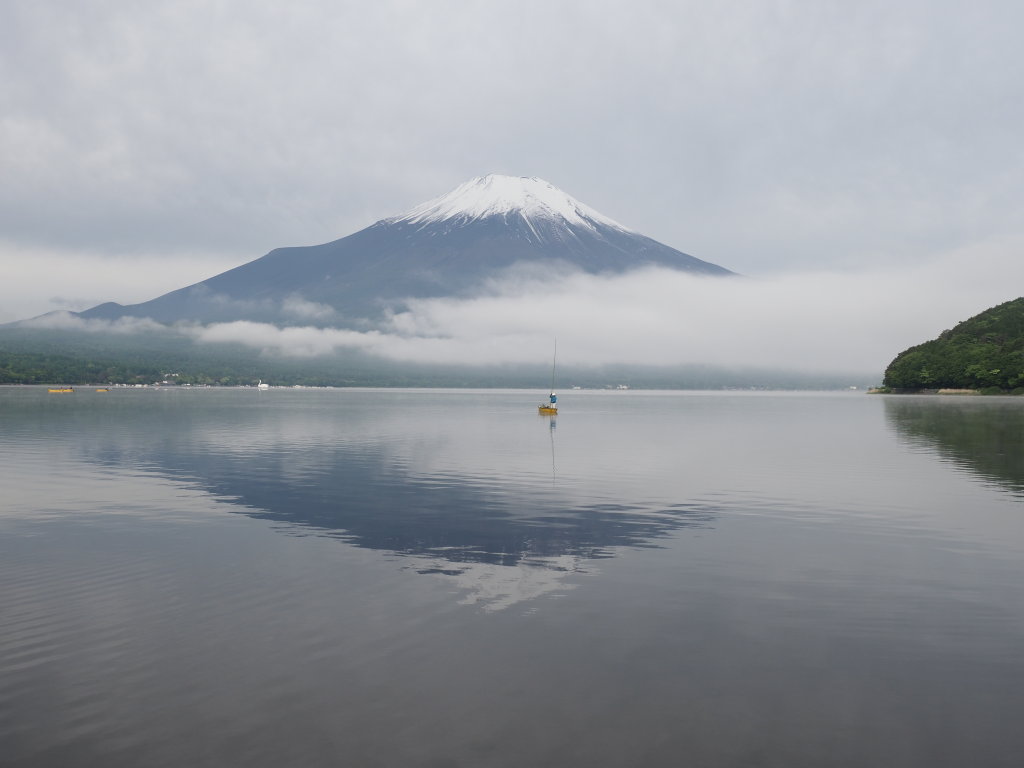 5/25 �K�X�L����