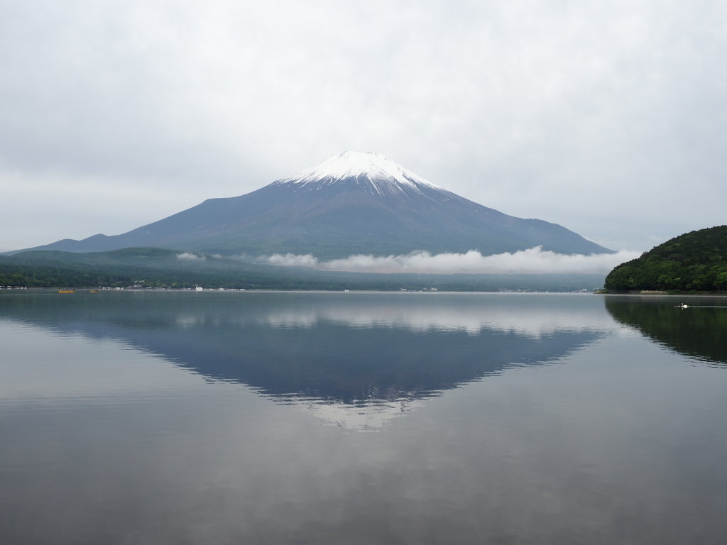 5/25 �K�X������