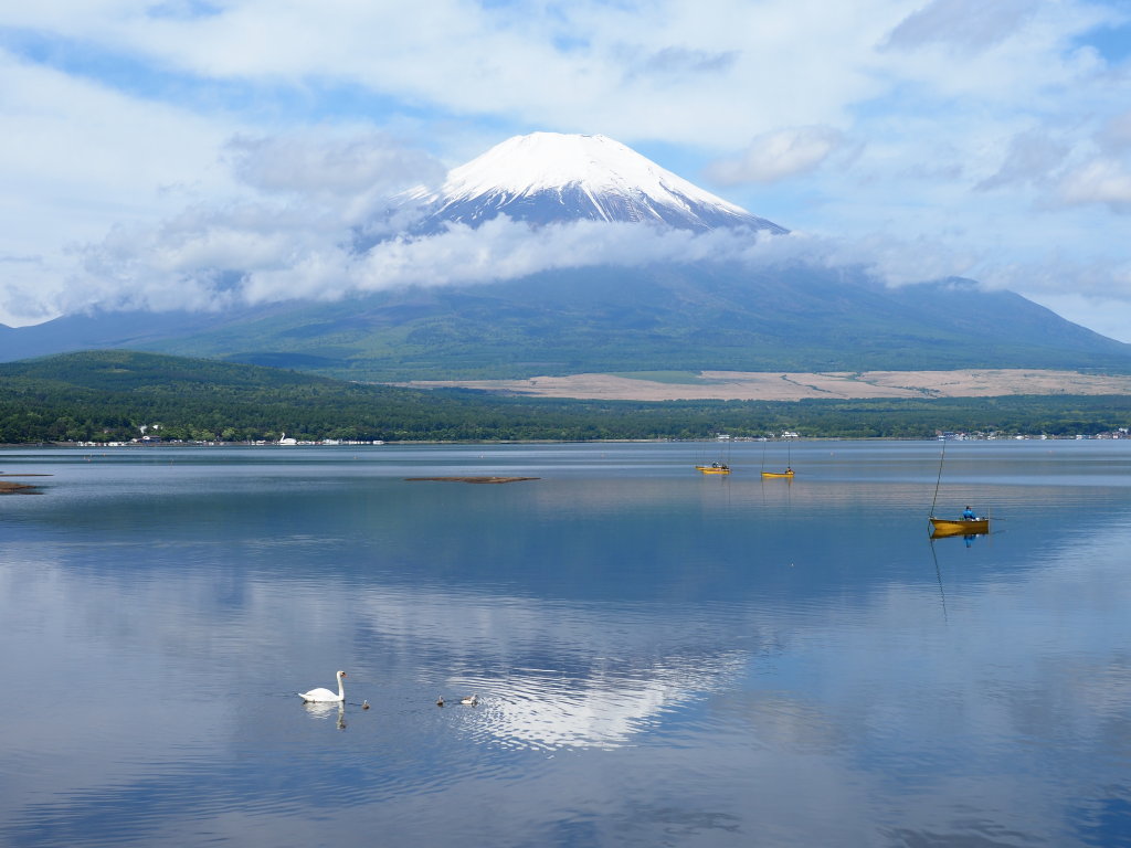 5/25 ��L����