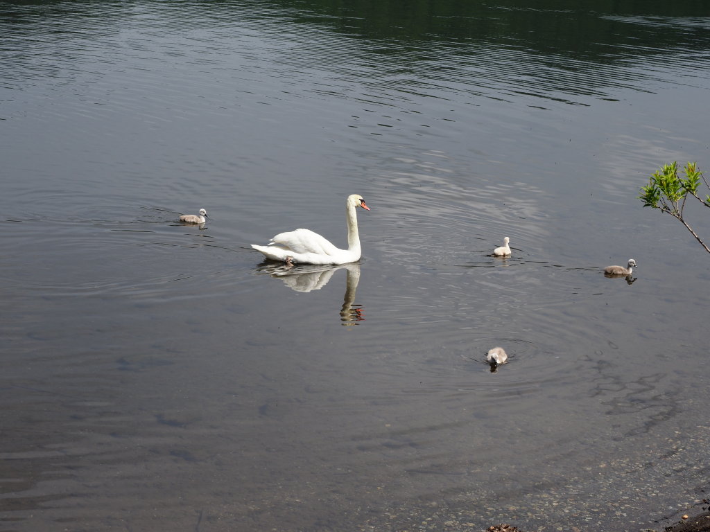 5/25 �����̐e�q