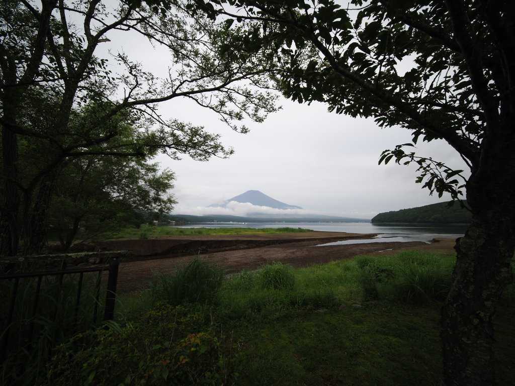 7/5 ��x�삩��