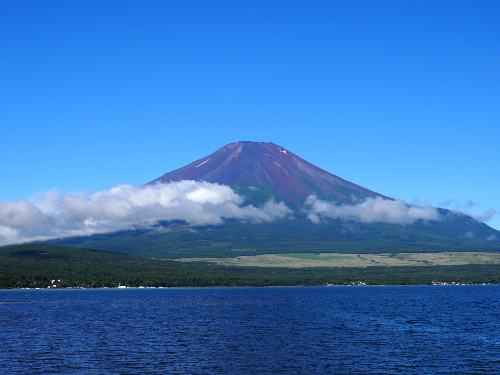 �V/6 ���삩��̕x�m�R