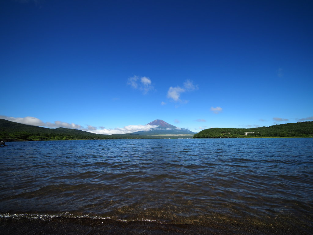 7/6 ���삩��̕x�m�R