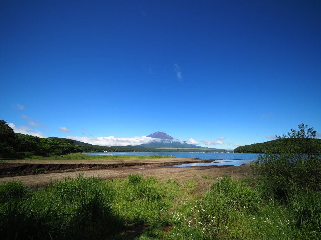 7/6 �U���̓r��