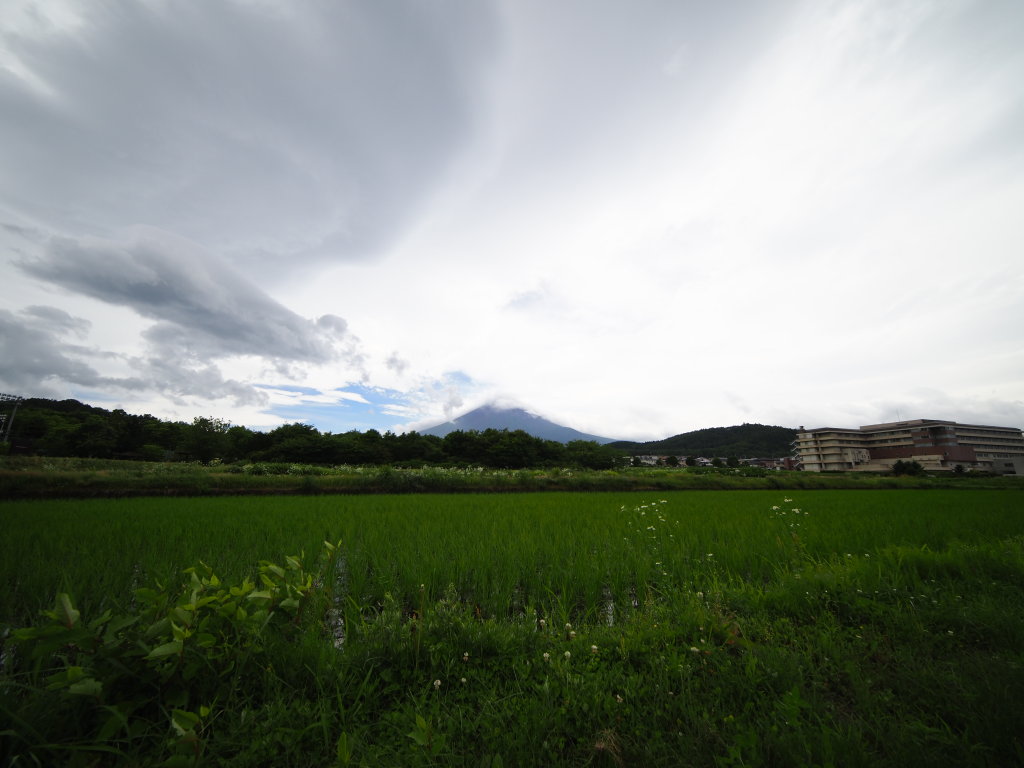 7/8 �_����������