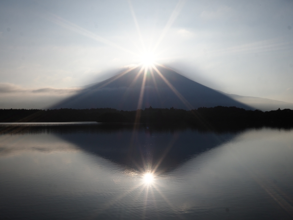 8/19 �_�C�������h�x�m(2)