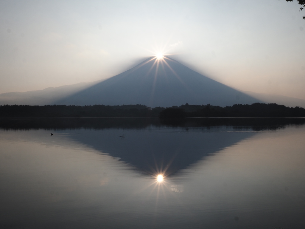 8/20 �_�C�������h�x�m(2)