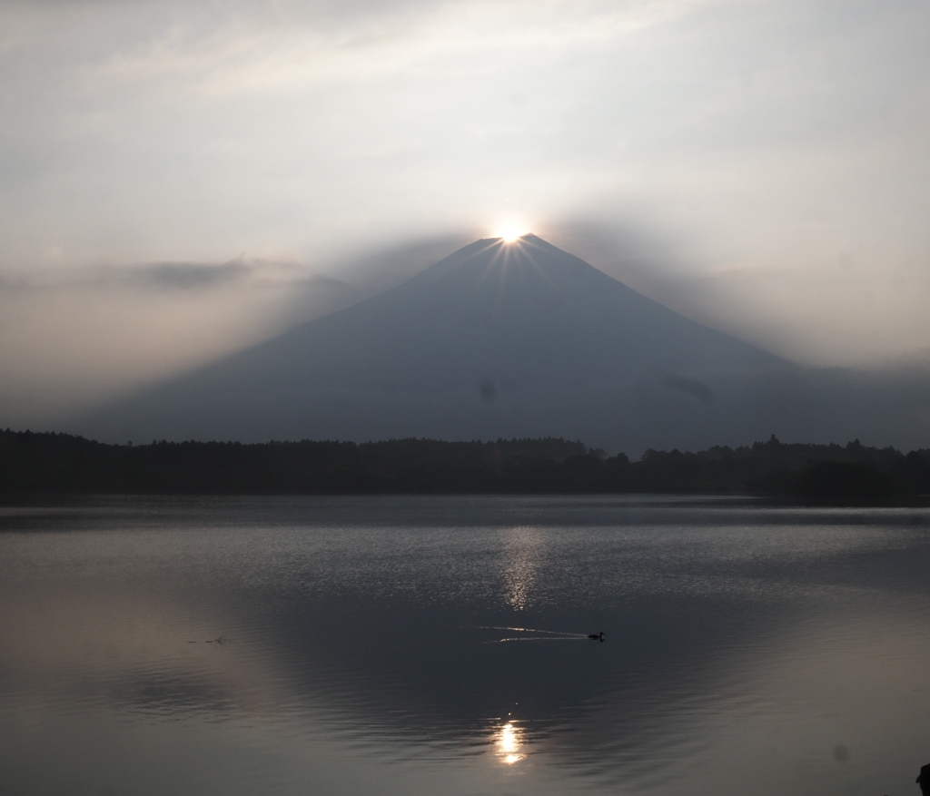 8/21 �_�̒��̃_�C�����ǂ�(2)