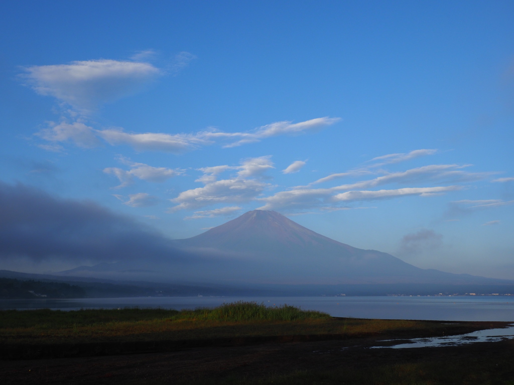 9/16 �Q�ڂ����x�m�R