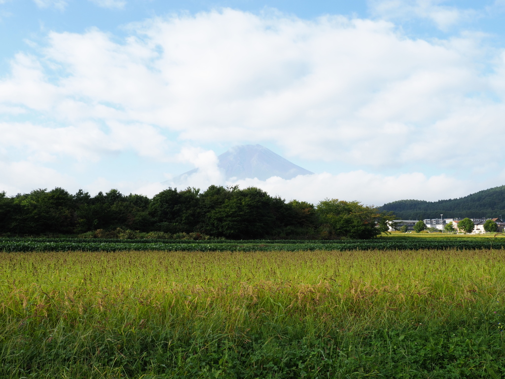 9/17 �炾�������