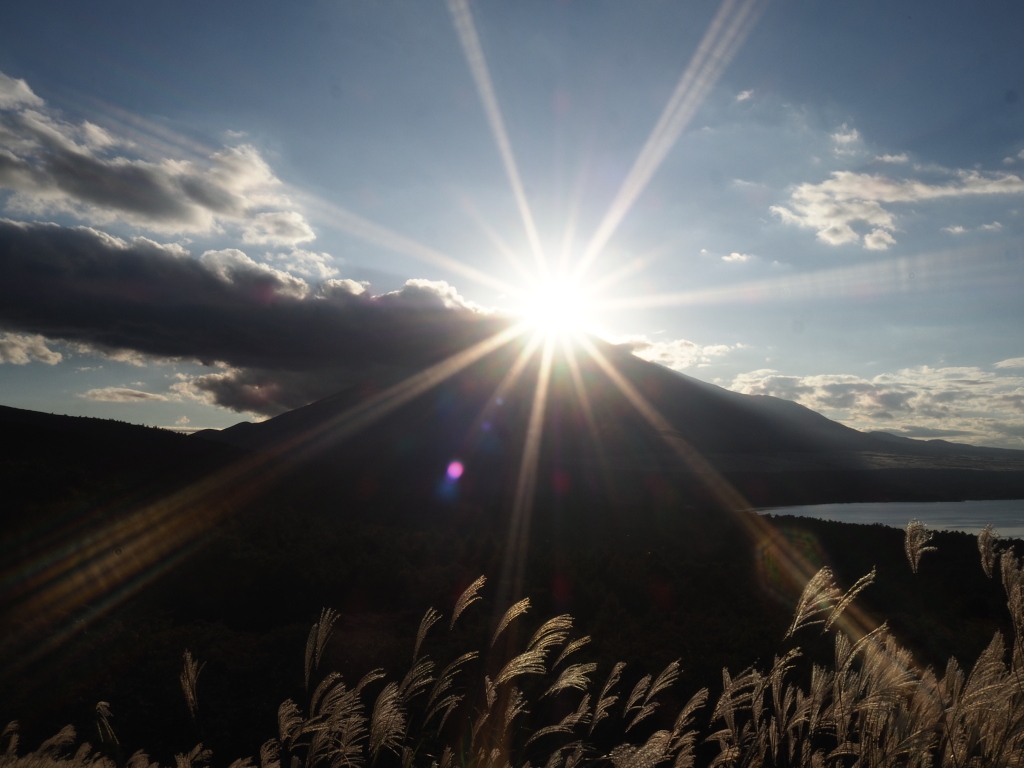 10/16 �_�C�������h�x�m���ǂ�