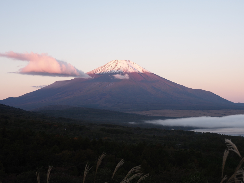 10/17 �_�C�ƒ��Ă�