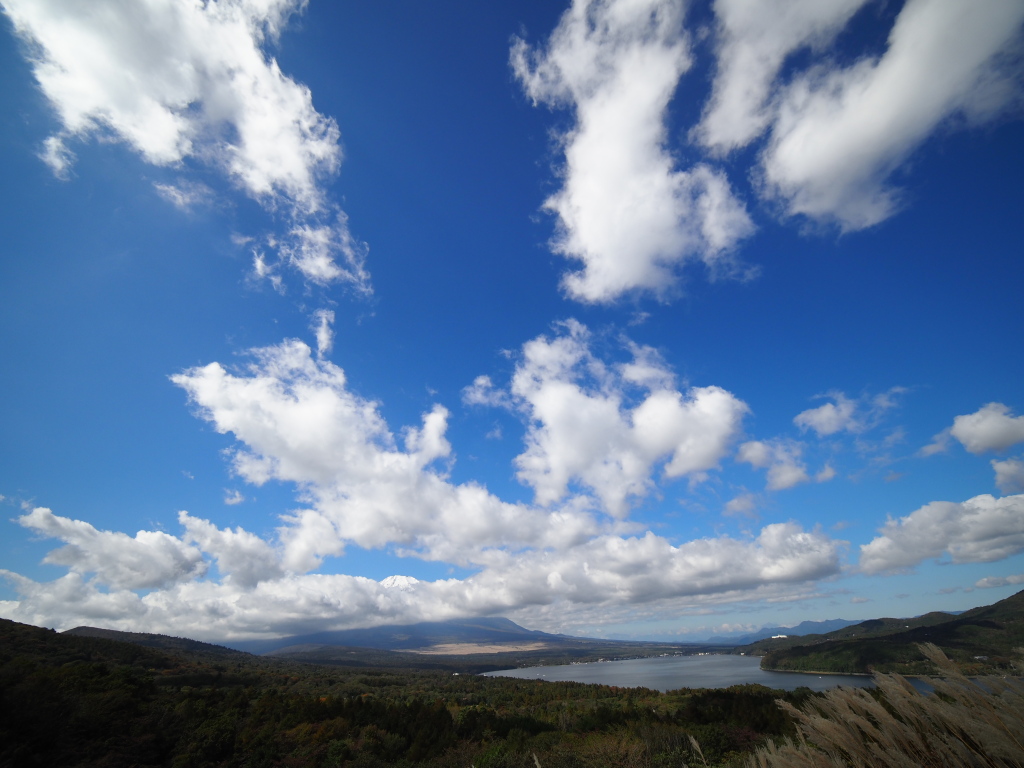 10/17 �_�ƎR����