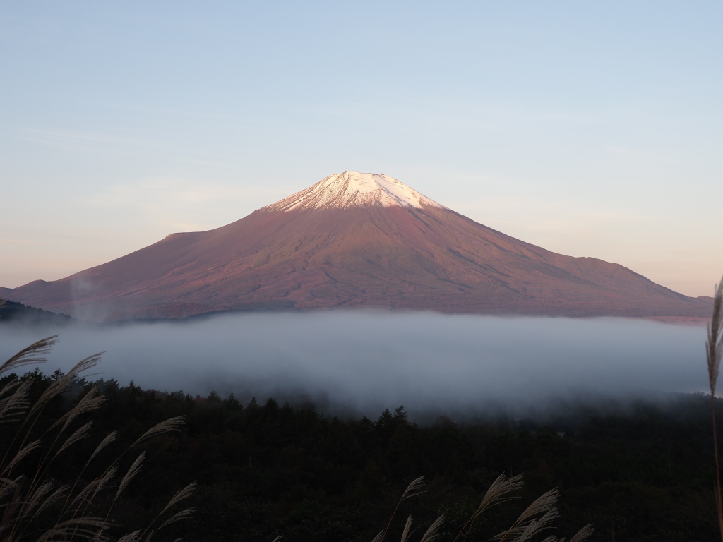 10/19 �_�C�ƕx�m�R