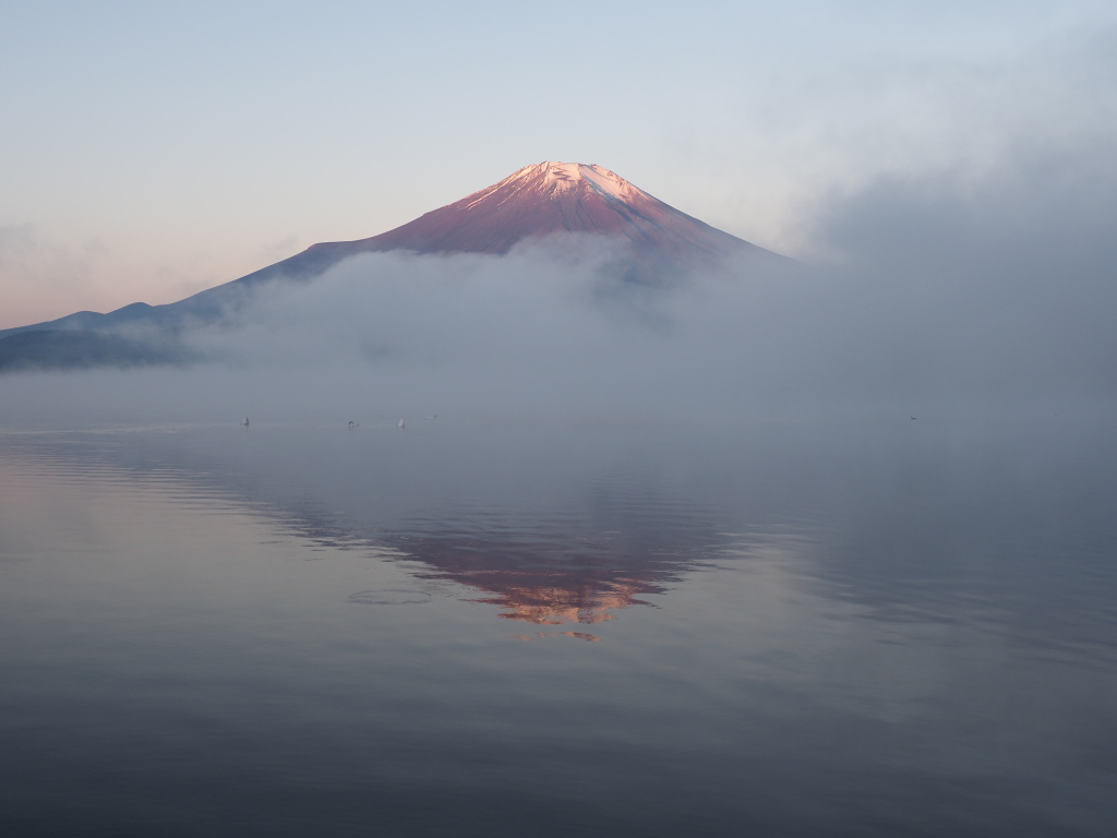 10/26 �_�C�ƒ��Ă�