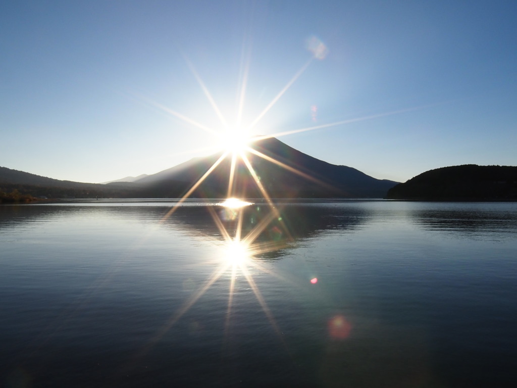 11/7 ���̓���