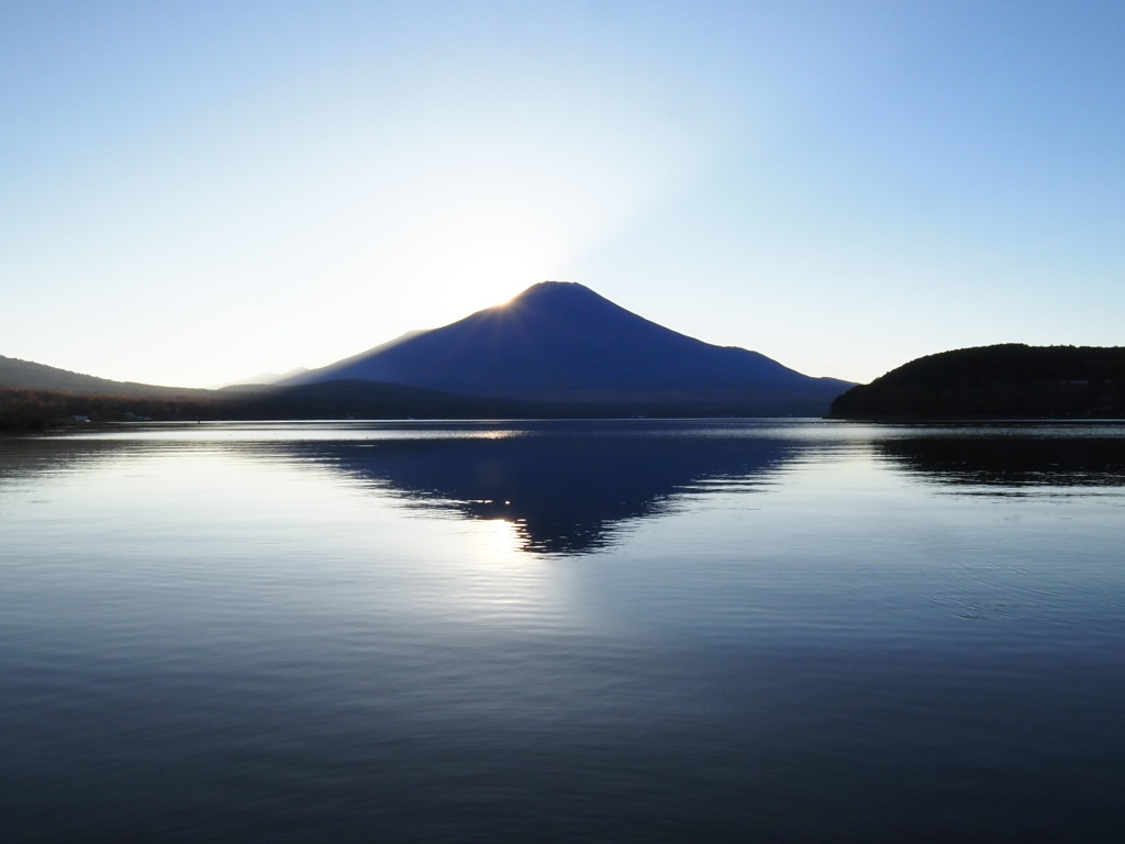 11/7 ���̓���(3)