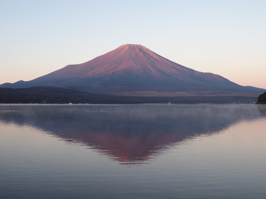 11/8 �H�̐ԕx�m