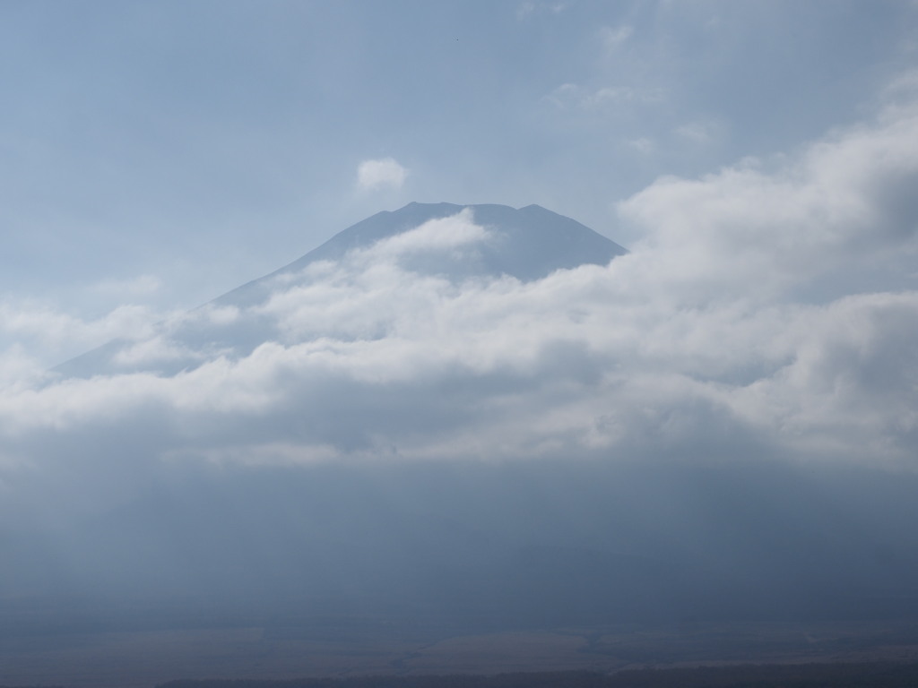 11/9 ��u�̕x�m�R